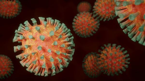 Петербург продолжает удерживать лидерство по суточной смертности от коронавируса