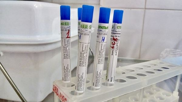 Более 26 тысяч тестов на коронавирус сдали петербуржцы во вторник